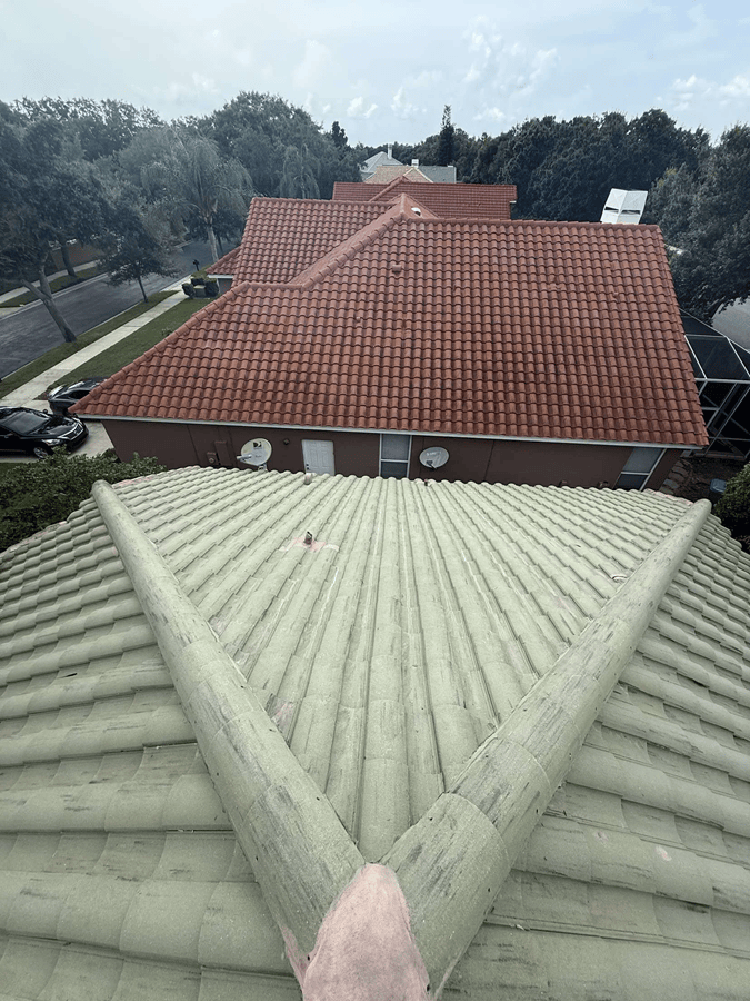 Roof after professional cleaning