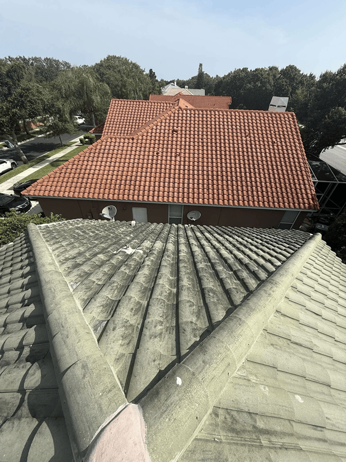 Roof before professional cleaning